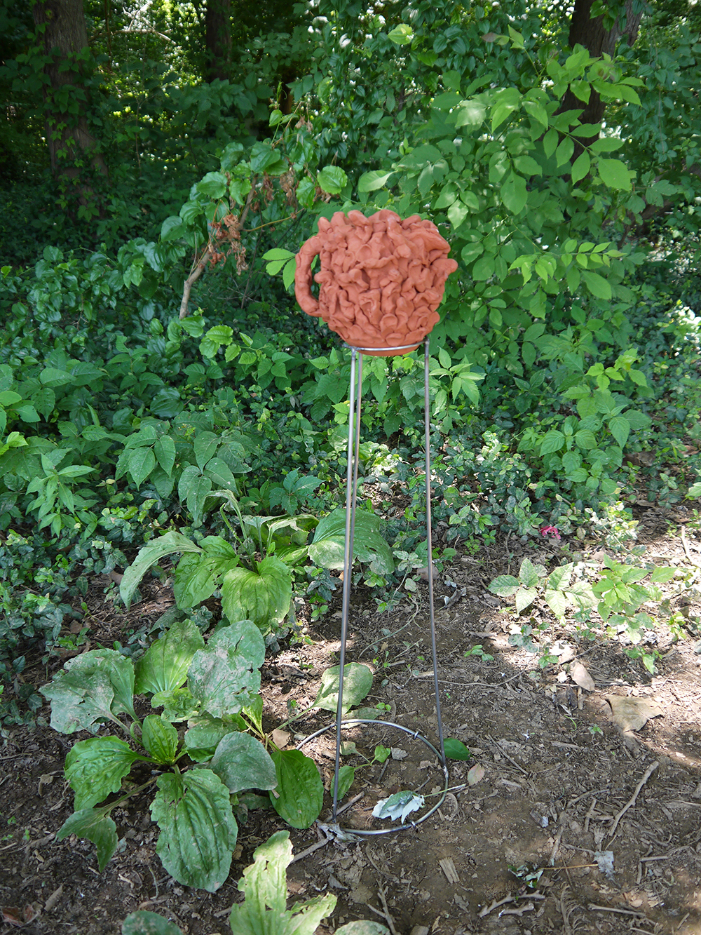 Becoming Silt II pitcher